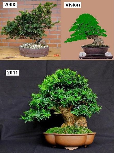 1-2011.JPG