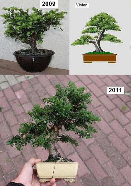 2-2011.JPG