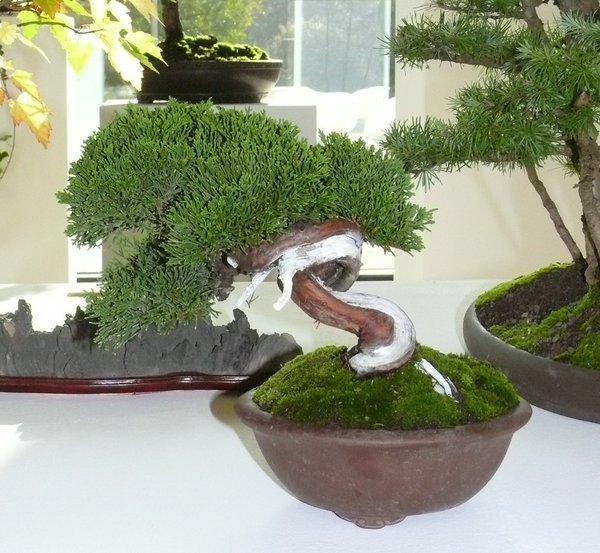 P1040209k.JPG
