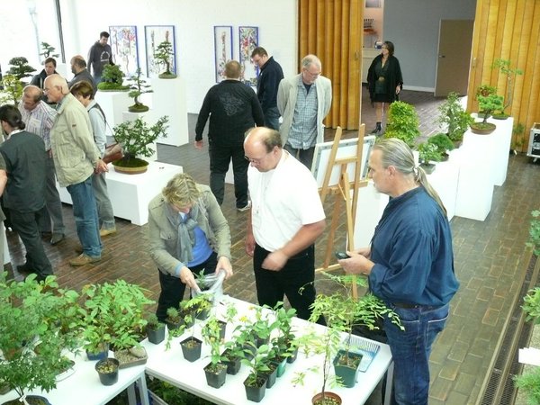 Die Jungpflanzen des "Bonsai-Flohmarkts" waren besonders begehrt