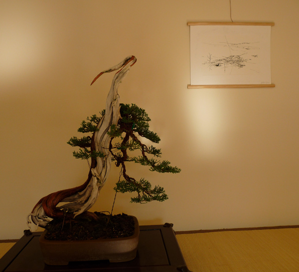 P1070242-.jpg