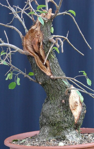 Zwischenablage02.jpg