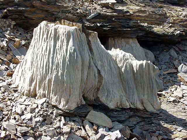Rohling2.jpg