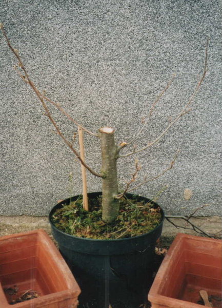 002_APRIL2001.JPG