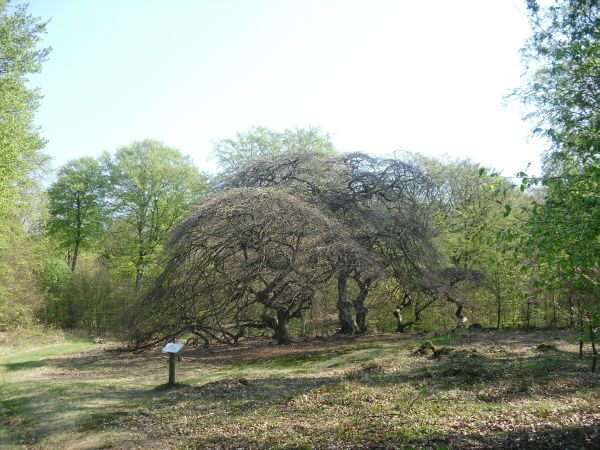 neue kamera 094.jpg