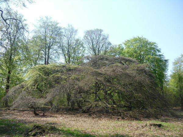 neue kamera 099.jpg