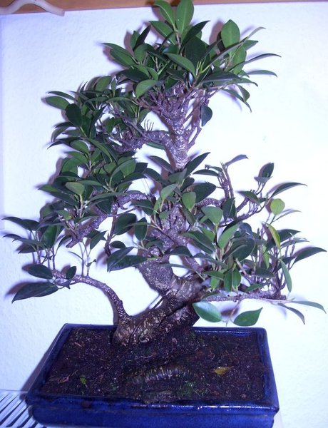 100_7862.JPG