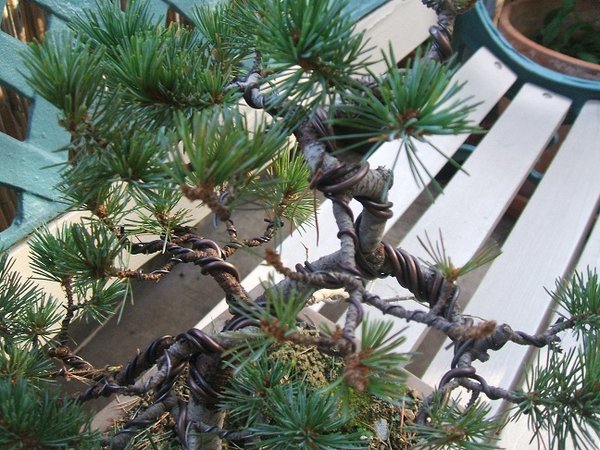 DSCF7578.JPG