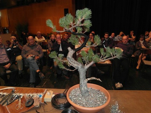 ForumkleinSAM_5429.jpg