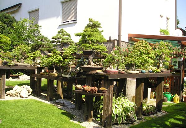 0729200507Bonsaigarten.jpg