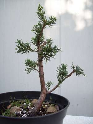 13.06.2010-400.jpg
