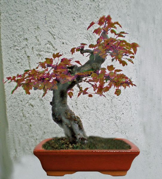 autumn Kopie_903x1000.jpg