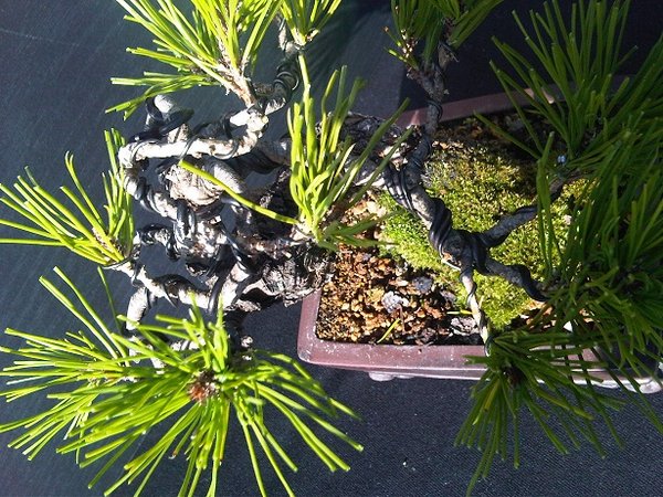 IMG01093-20111022-1357.jpg