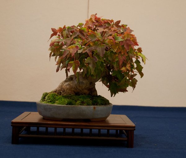 DSC_0185.jpg