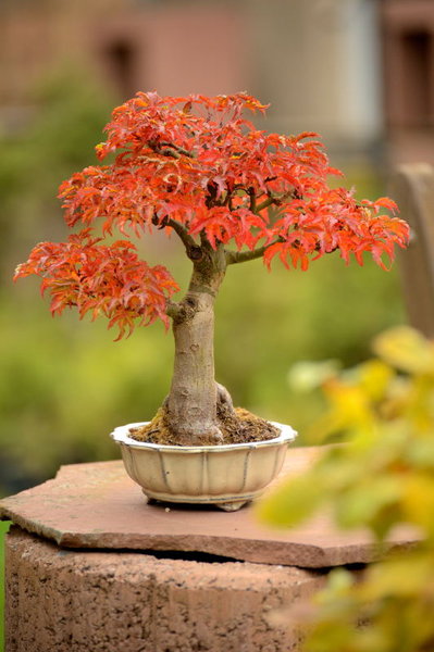 PHR_0909_5442.JPG