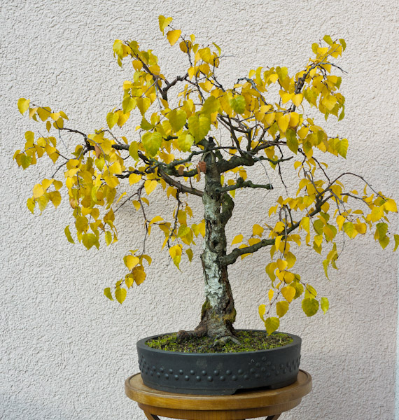 Herbst 2011.