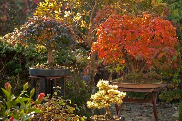 herbst_IMG_6242.jpg