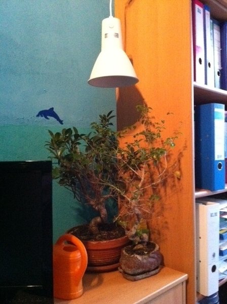 Foto5.JPG