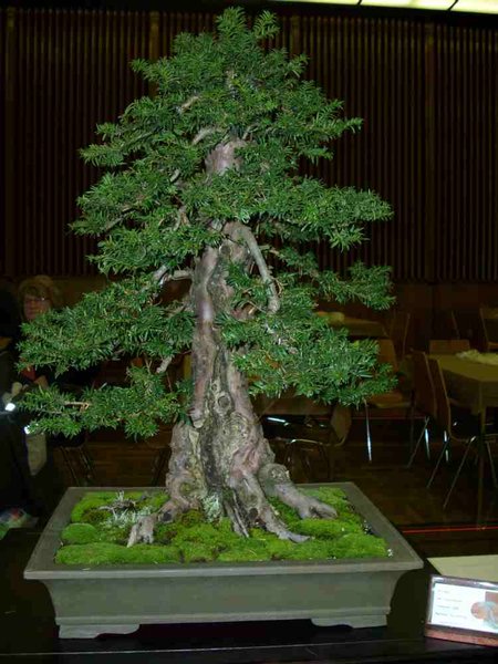 DSCI0660.JPG