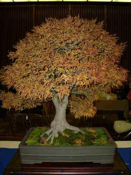DSCI0661.JPG