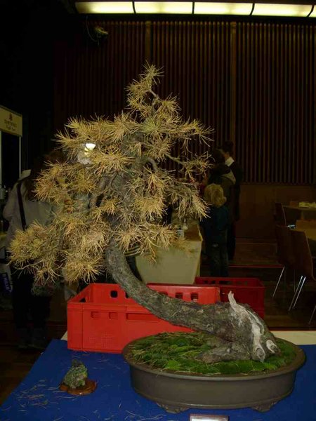 DSCI0662.JPG