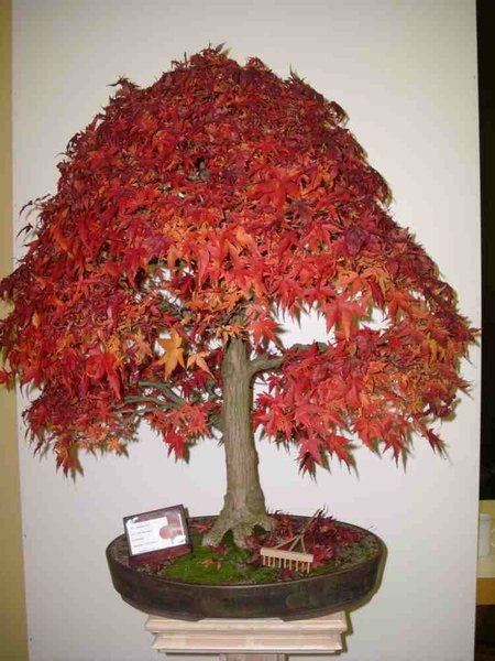 DSCI0669.JPG