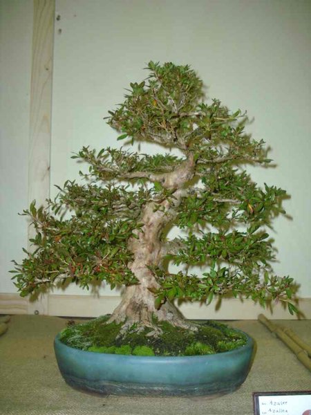 DSCI0672.JPG