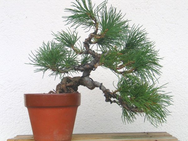 herbst 2011 neu 1.jpg