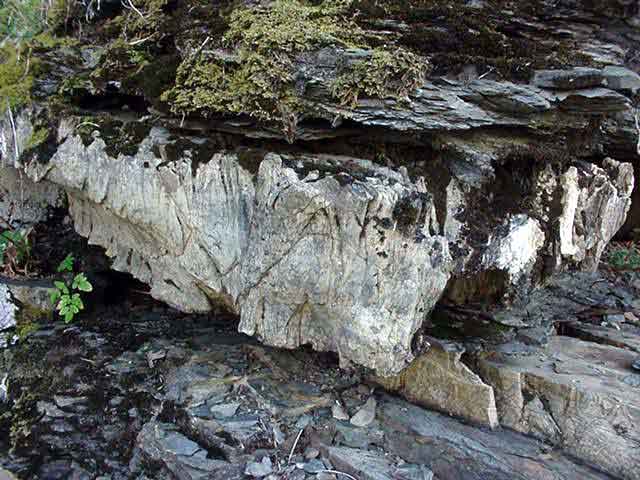 Nach vielen Jahren wird das harte Gestein aus dem Kalkfelsen geschwämmt. ( Suisekigeburt )