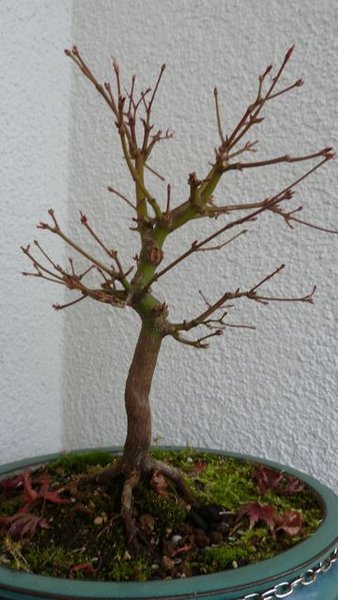 P1010610.jpg