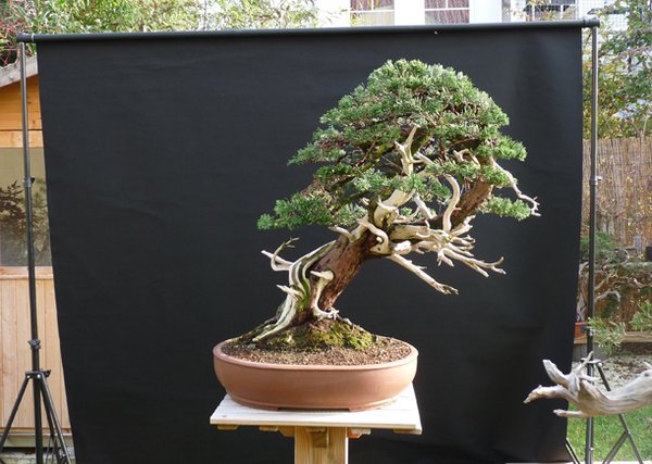 P1070882-.jpg