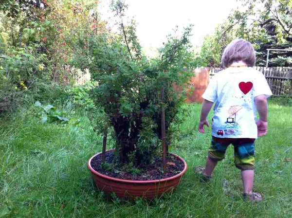 Mein großer Sohn mit Potti als Größenvergleich