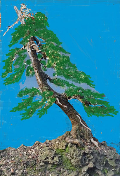 larix 4 2011 19_bearbeitet-1.jpg