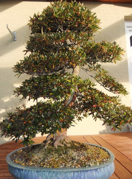 Kinsai1111.jpg
