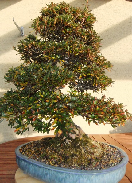 Kinsai1111b.jpg