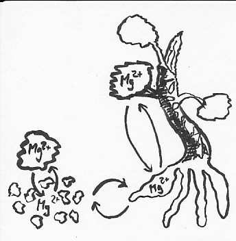 Bonsai_Gleichgewicht.jpg
