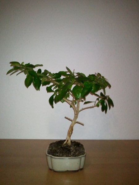 WP_000206.jpg