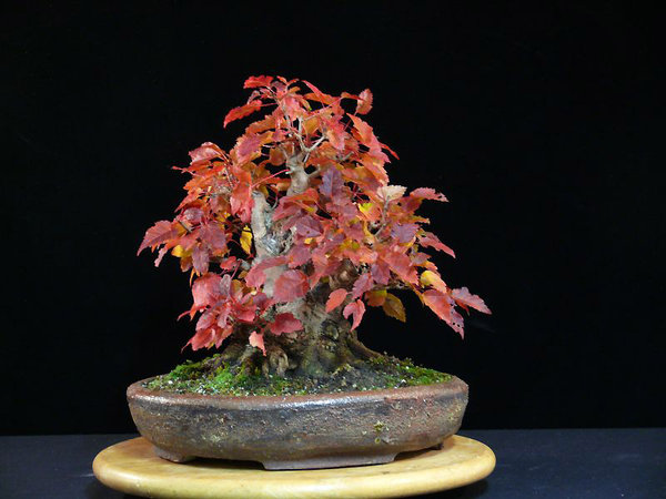 2011-10-22.jpg