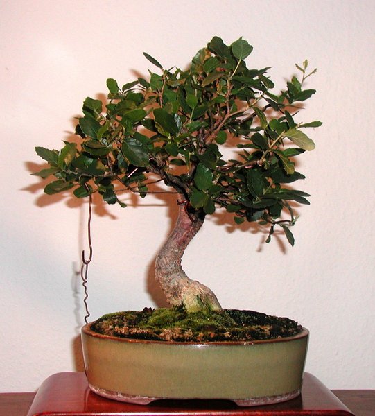 September 2005