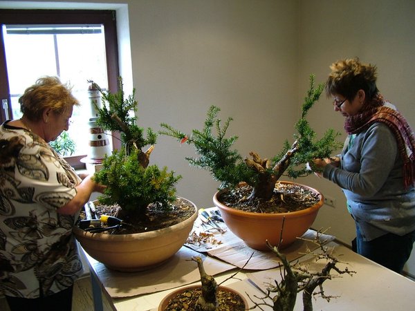 comp_22011_1211Bild0043.jpg