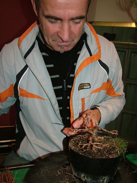 comp_22011_1211Bild0048.jpg