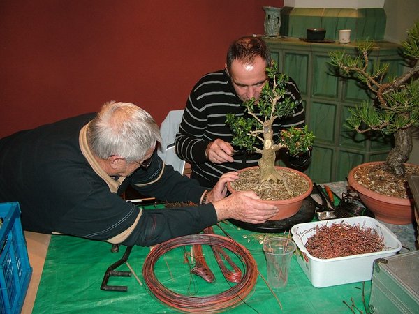 comp_22011_1211Bild0057.jpg
