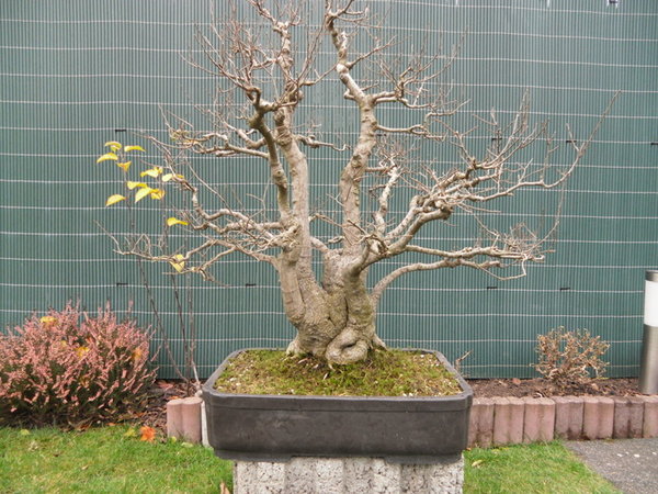 Bild 002.jpg