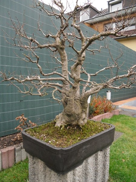 Bild 005.jpg