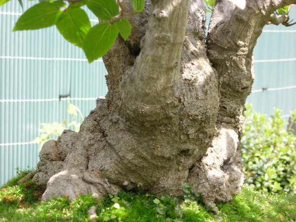 Bild 039.jpg