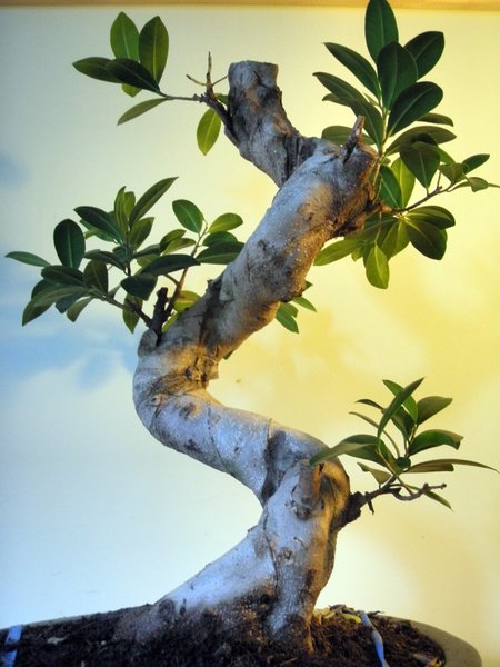 ..die andere Seite