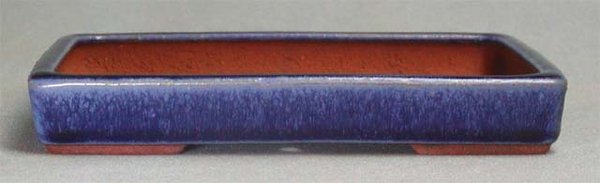 110f46a.jpg