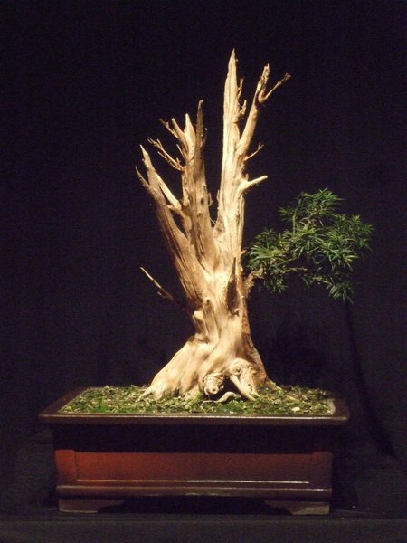 Eibe Jan. 2012