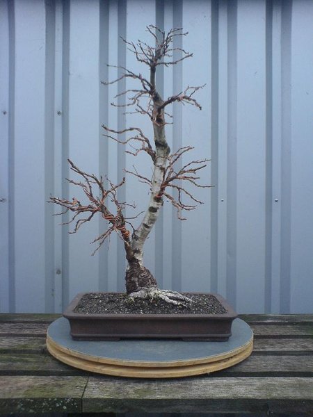b3.jpg