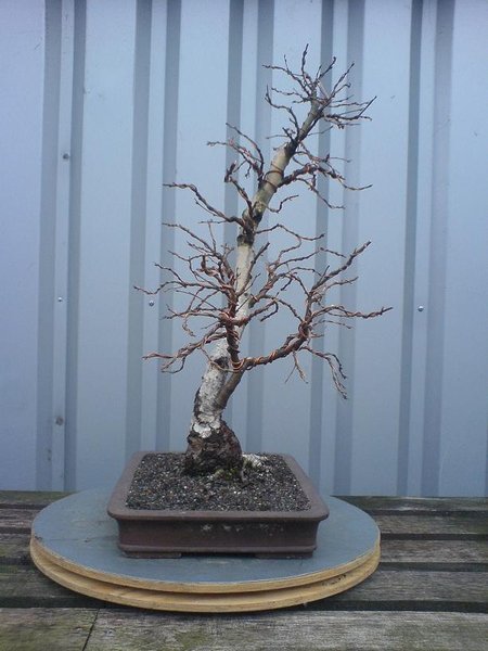 b5.jpg
